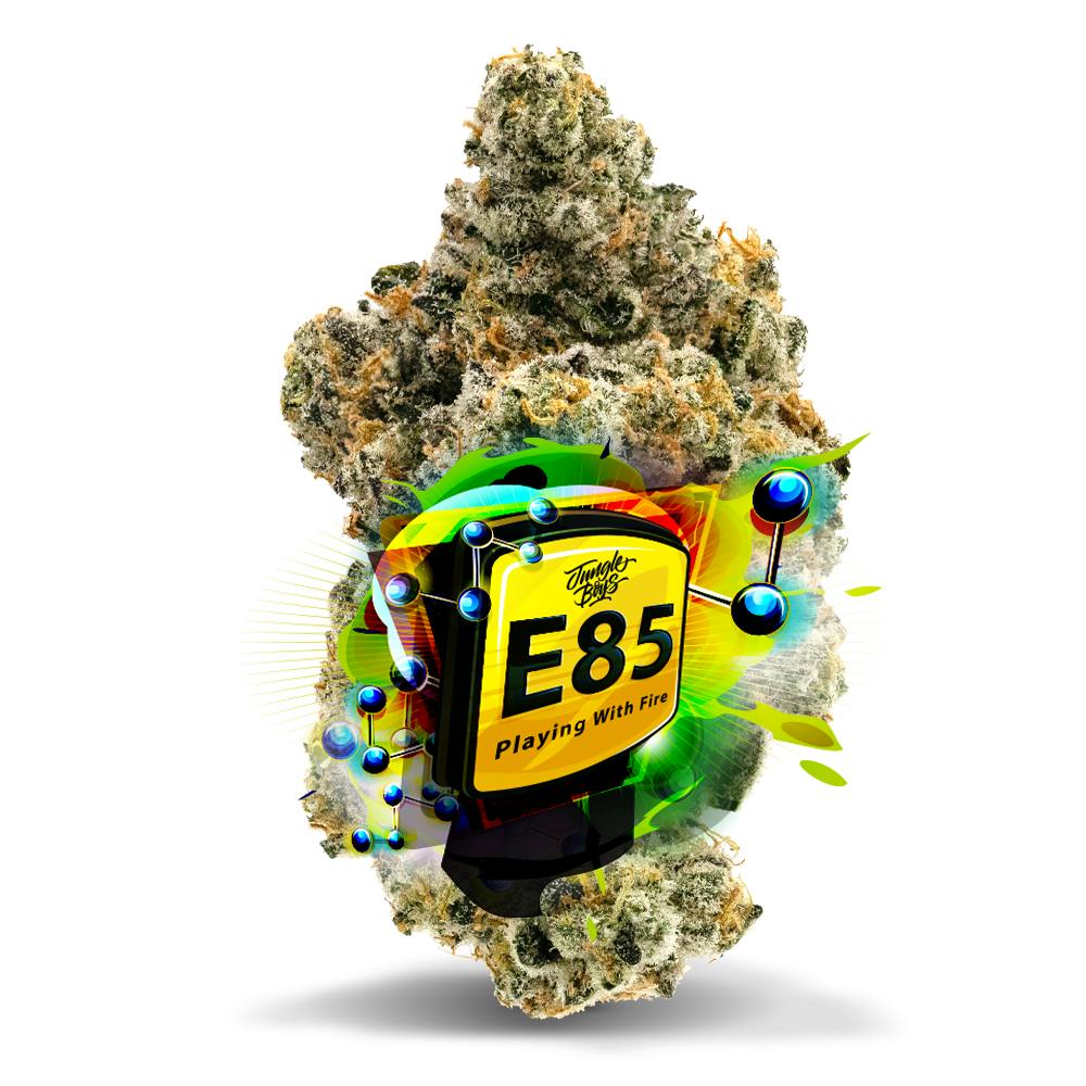 E85 - Premium Flower | Jungle Boys - Bonita Springs