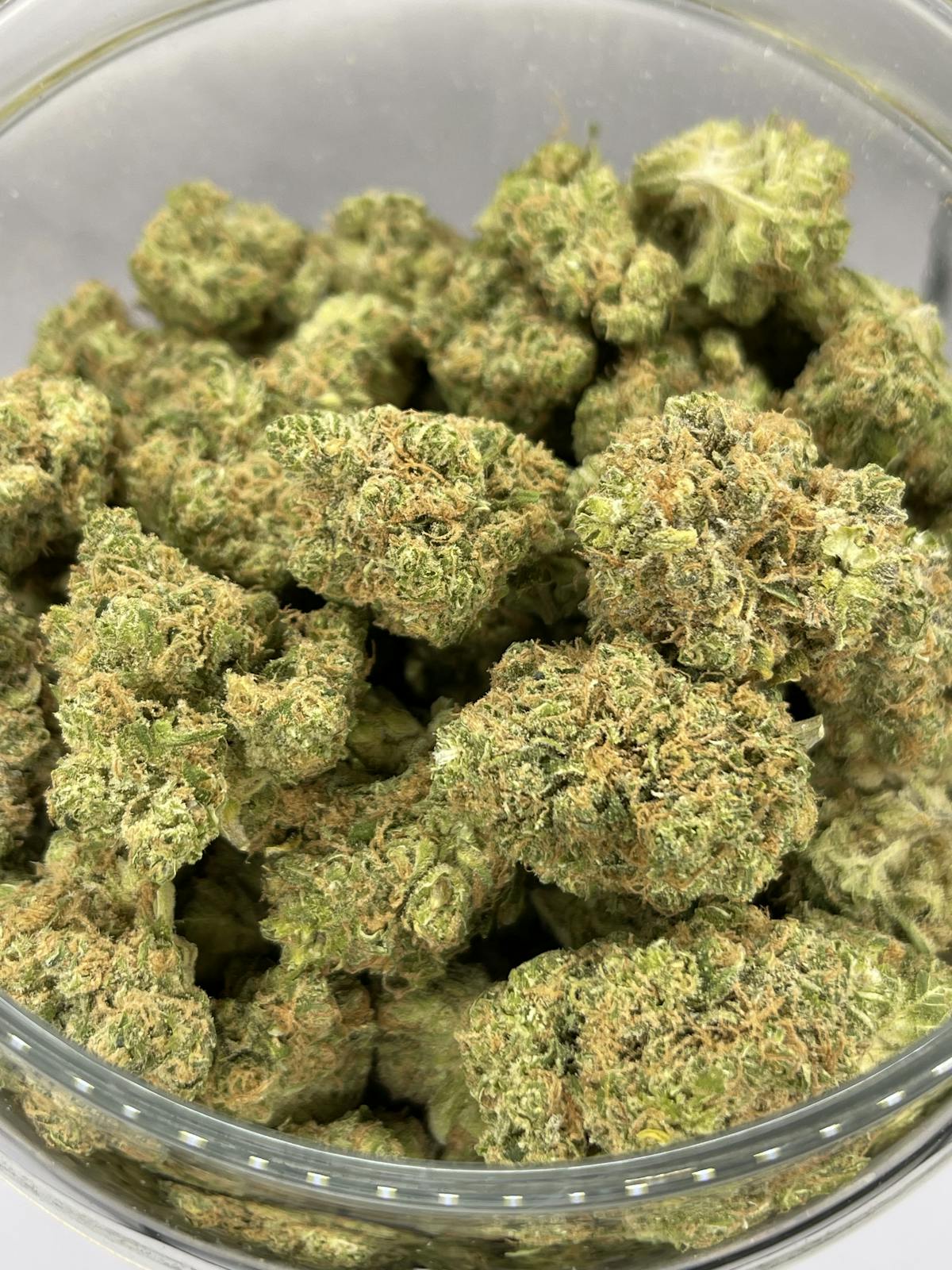 Photo of Silver Shelf – Pucker Punch (S)