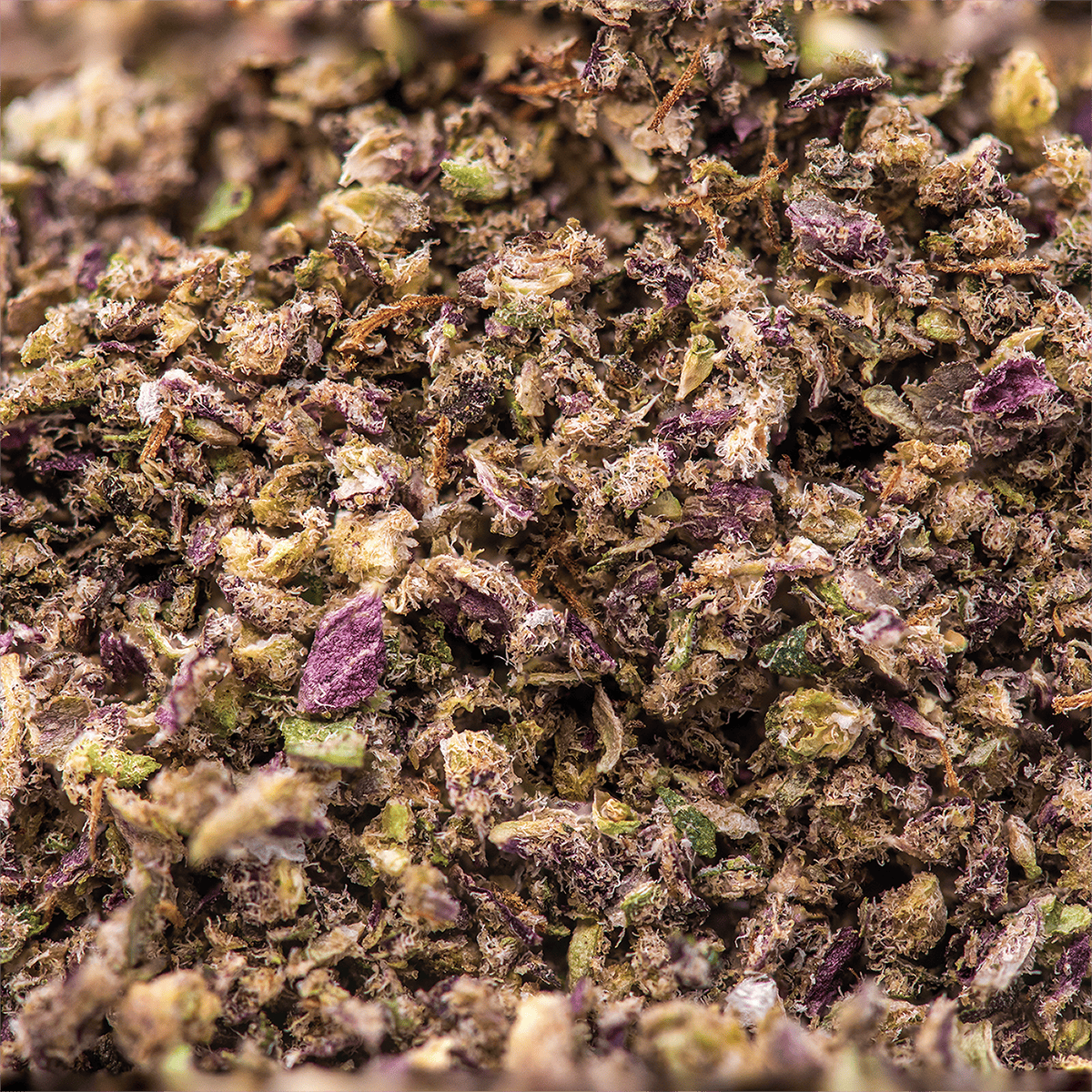 Product D Sailor Infused Pre-Ground | Flower | 3.5g