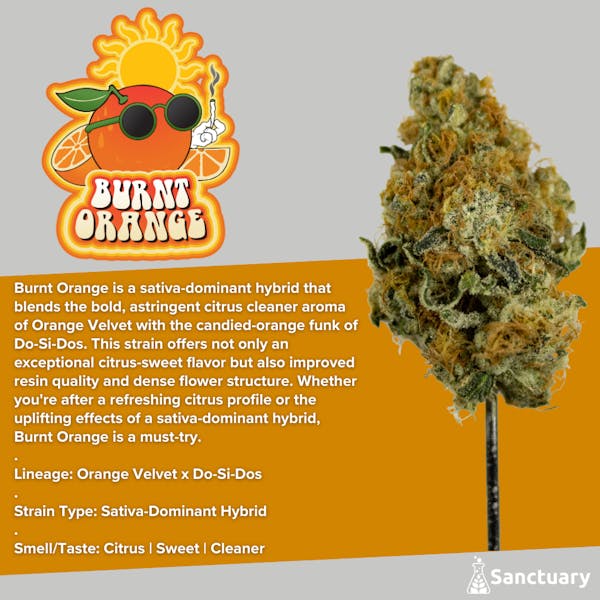 London Mints 11 | 28g | Flower | Sanctuary