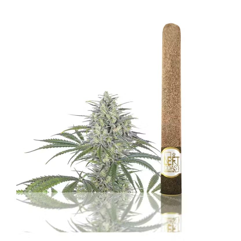 Product Left Coast - Orange Creamsicle - 2g Infused Blunts