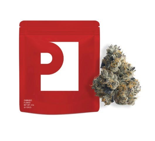 Preferred Gardens | Permanent Marker- Mylar | Flower