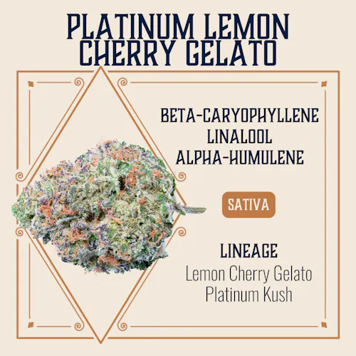 Elevate – Platinum Lemon Cherry Gelato – 3.5g Flower-active
