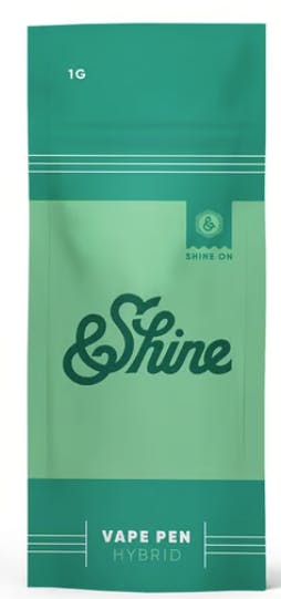 Shop &Shine Disposable Pen Apple Fritter (&Shine) | 1000mg