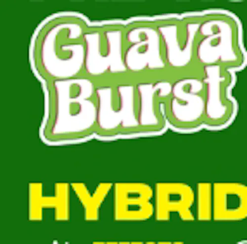 Guava Burst Jeeter-2