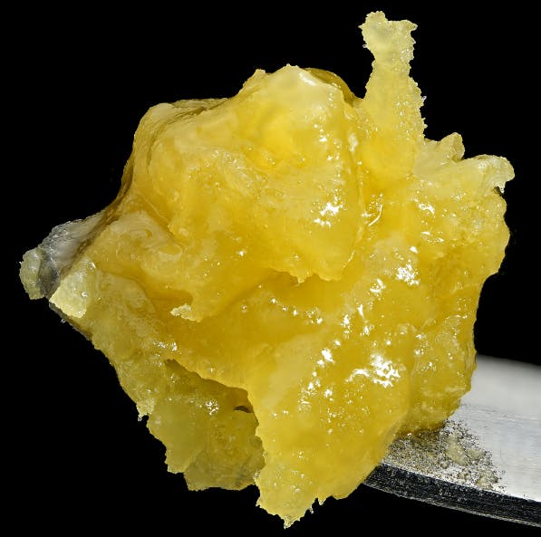 Product: Skynet | Live Rosin | Wojo Co