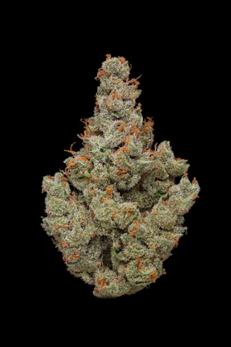 Clade9 | Flower | J1 | 7g-1