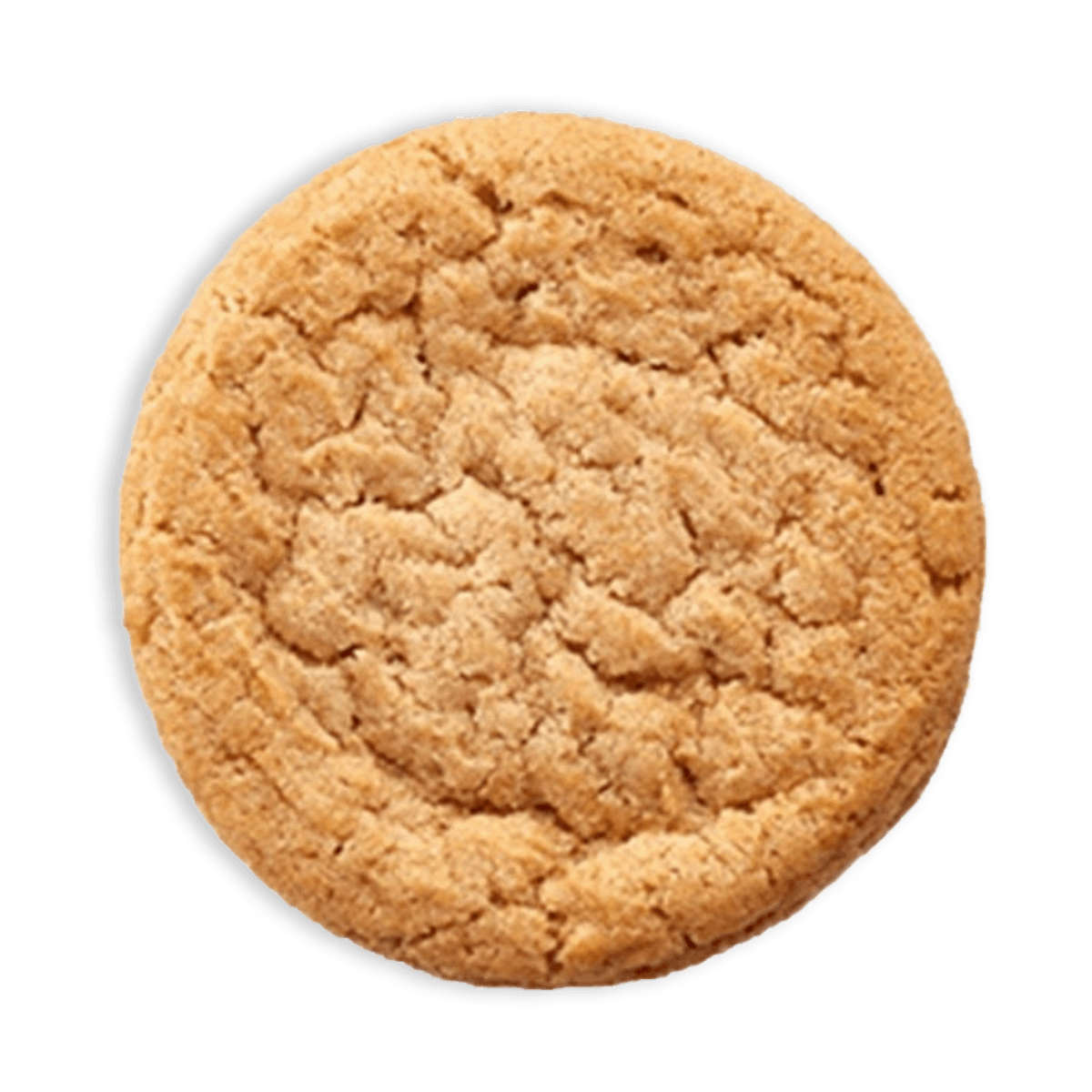 Photo of Snickerdoodle Cookie | 50mg