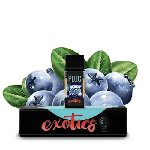 Plug Play Plug Berry Gang — Los Angeles weed at LAXCC