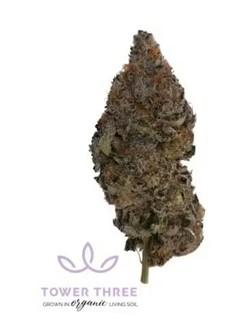 Product Maple Butter Buds