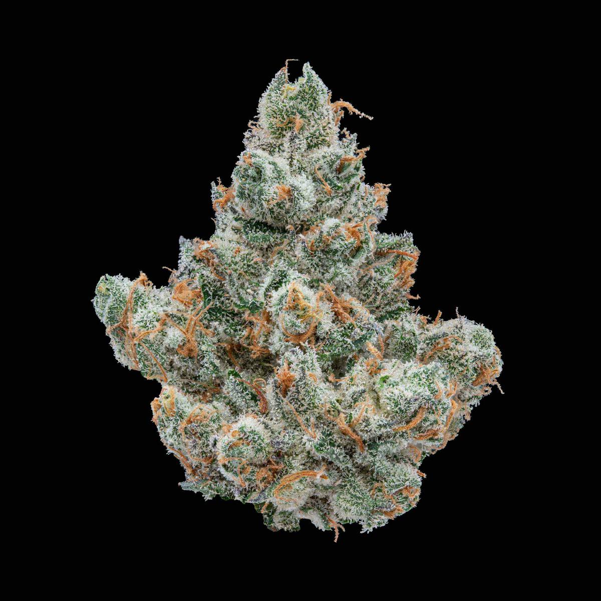 Photo of Apricot Gelato