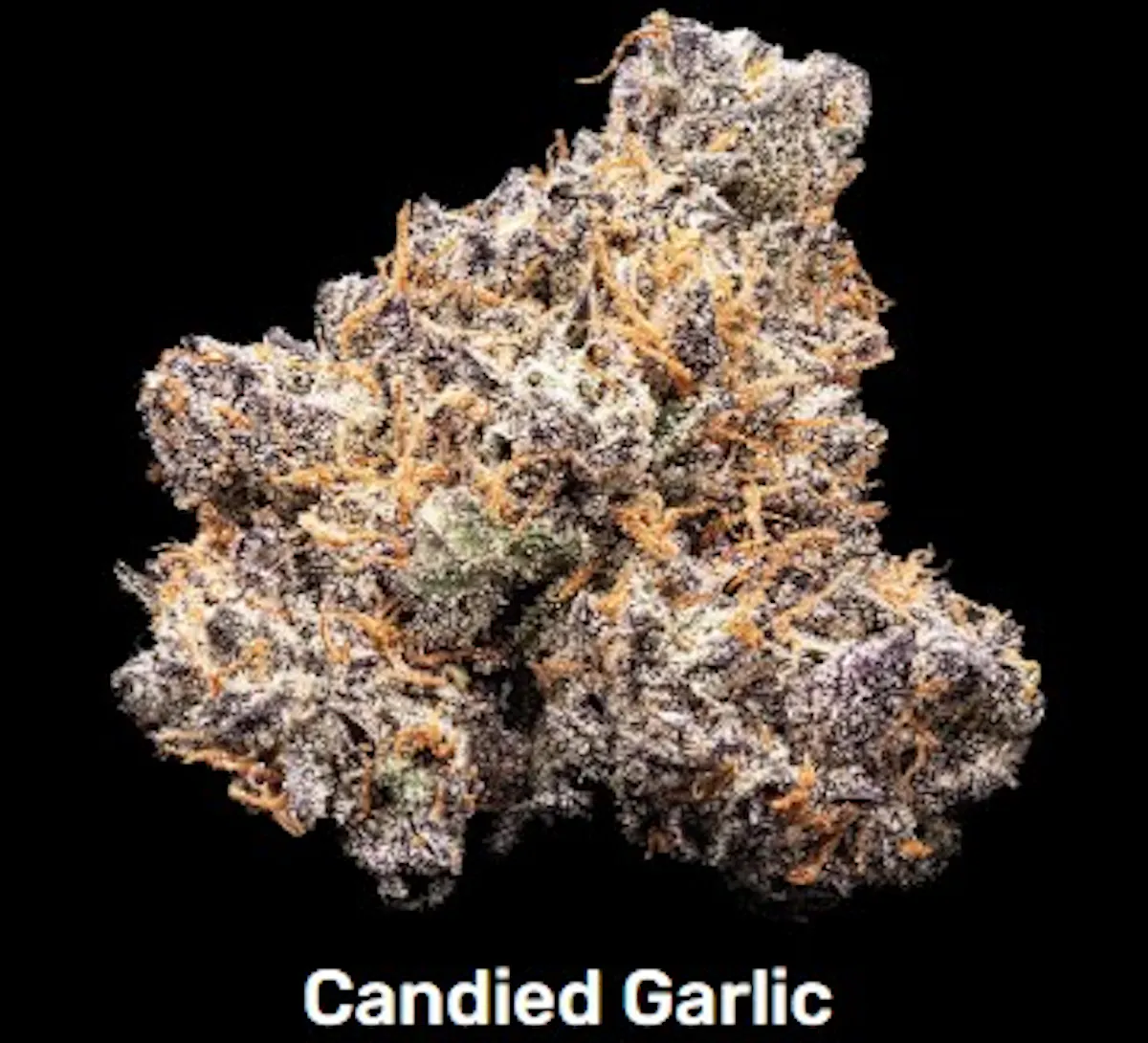 Happy Farmer | Candied Garlic | 3.5g 1/8oz Flower | Happy Farmer