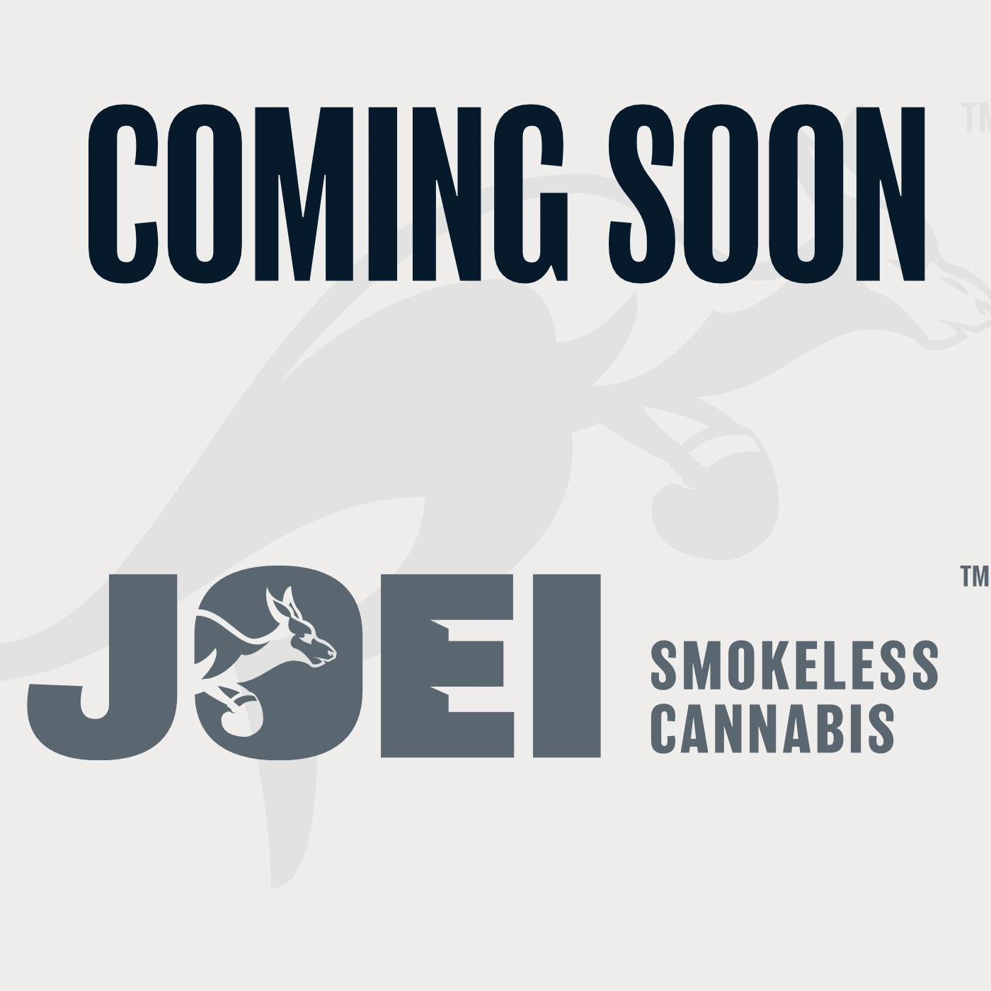 COMING SOON!!! Mint THC Pouch I 20 Pack