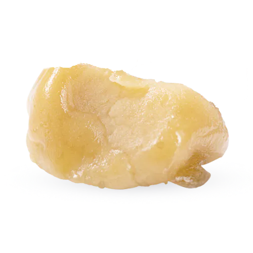 Tropical Punch (H)  – Live Rosin Gummies (100mg) – Floracal-1