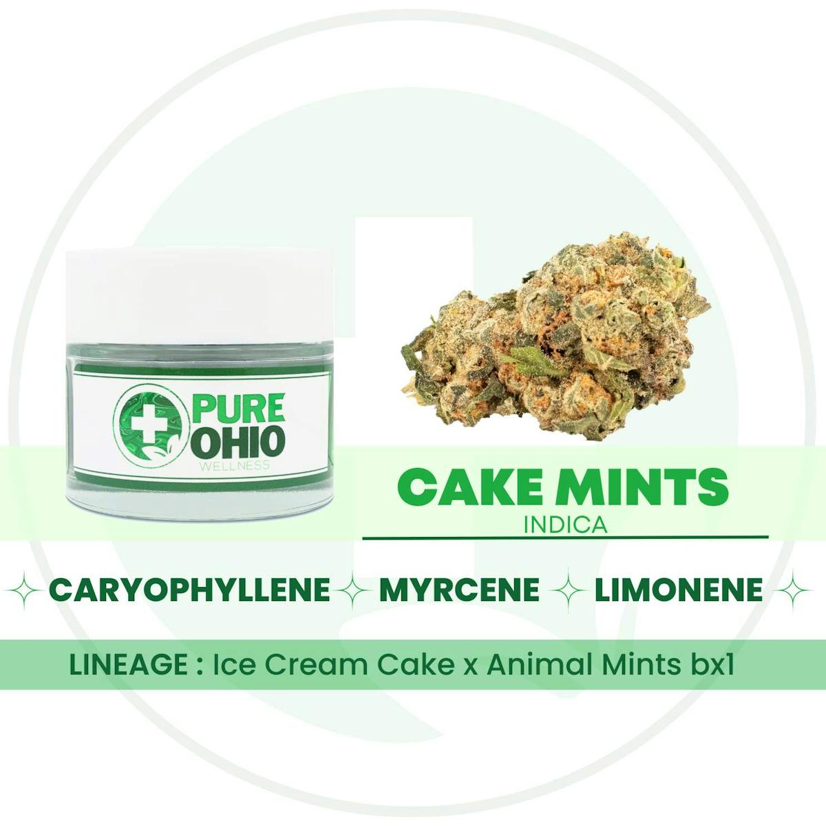 Photo of Cake Mints