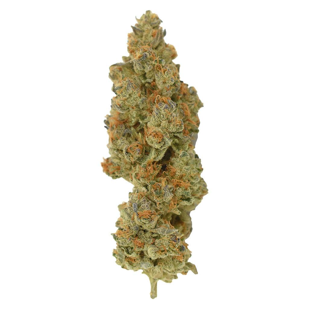 Treetop✳︎ XZXWZX Christmas Tree Topper, LED Star Treetop with Golden