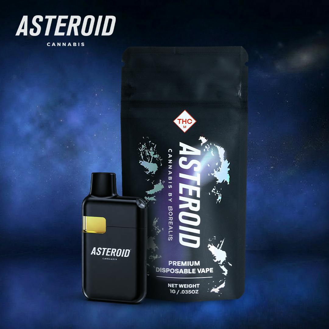 Asteroid Purple Urkle D-0.5g Vape (C0070000230) | Shangri-La Norwalk CT AVE