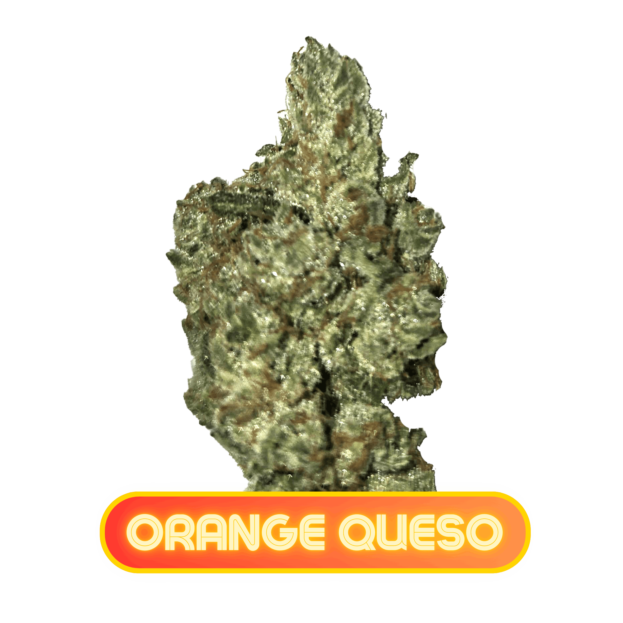MPX Select Orange Queso Flower - 