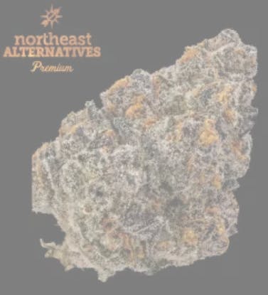 Product Rotten Rozay Buds