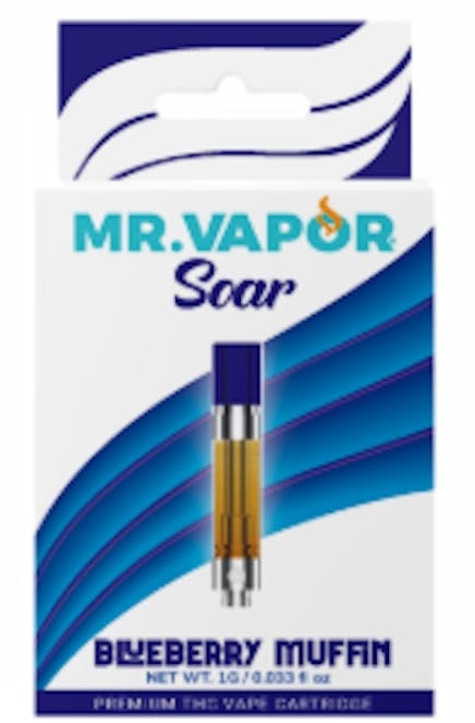 are flavored vapes legal in new york Can You Buy Disposable Vapes in New York? NY Legal Guide main image 1