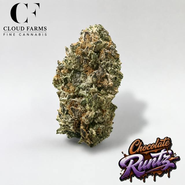 Cloud Farms | Bulk Bud - Chocolate Runtz