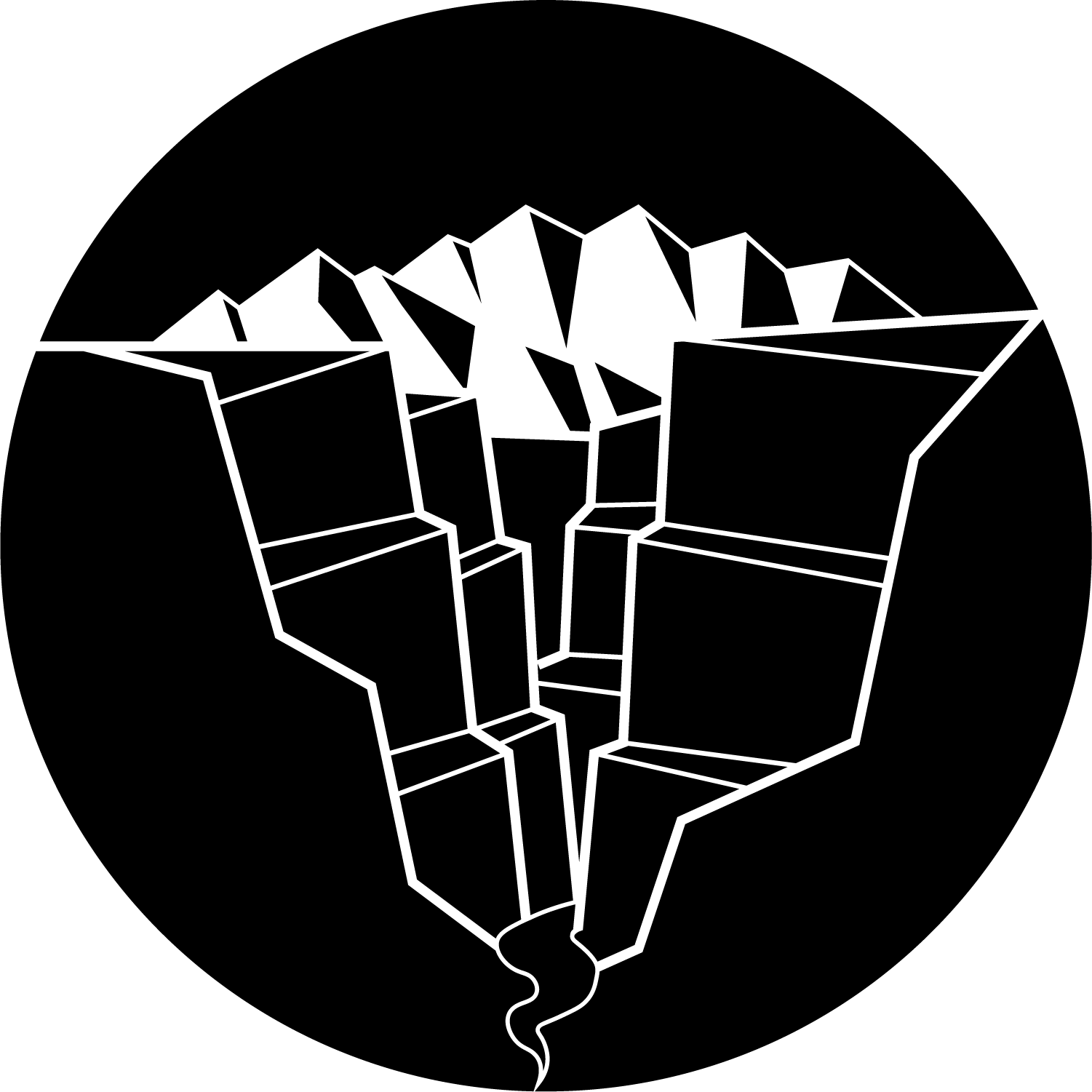 logo for Taos Canyon cannabis co- retail
