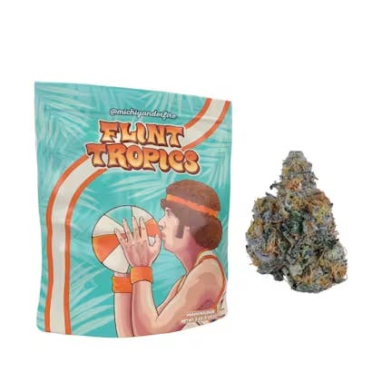 Flint Tropics Hybrid by Michigander Fire – Flower at Gatsby Cannabis