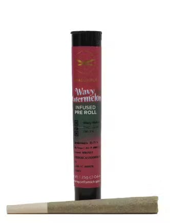 Dragonfly - 1.25g Infused Preroll - Wavy Watermelon