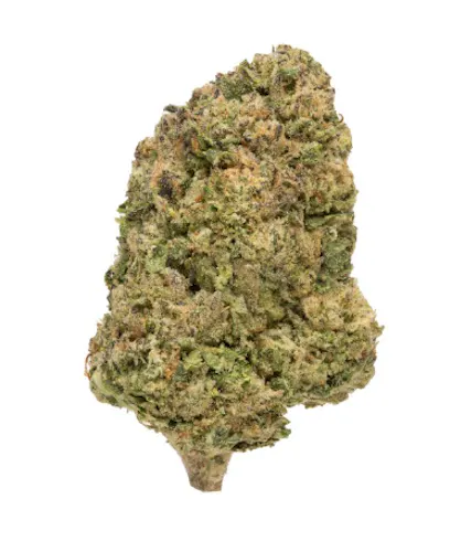 Rolling Green | Flower | Gelato Sorbet | 3.5g-1