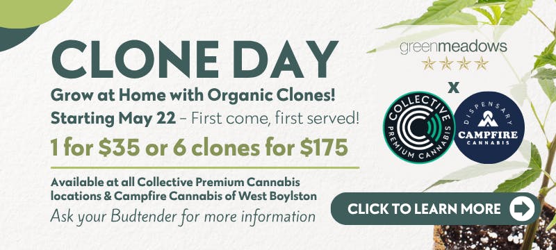 Collective - Littleton Menu - a Cannabis Dispensary in Littleton, MA
