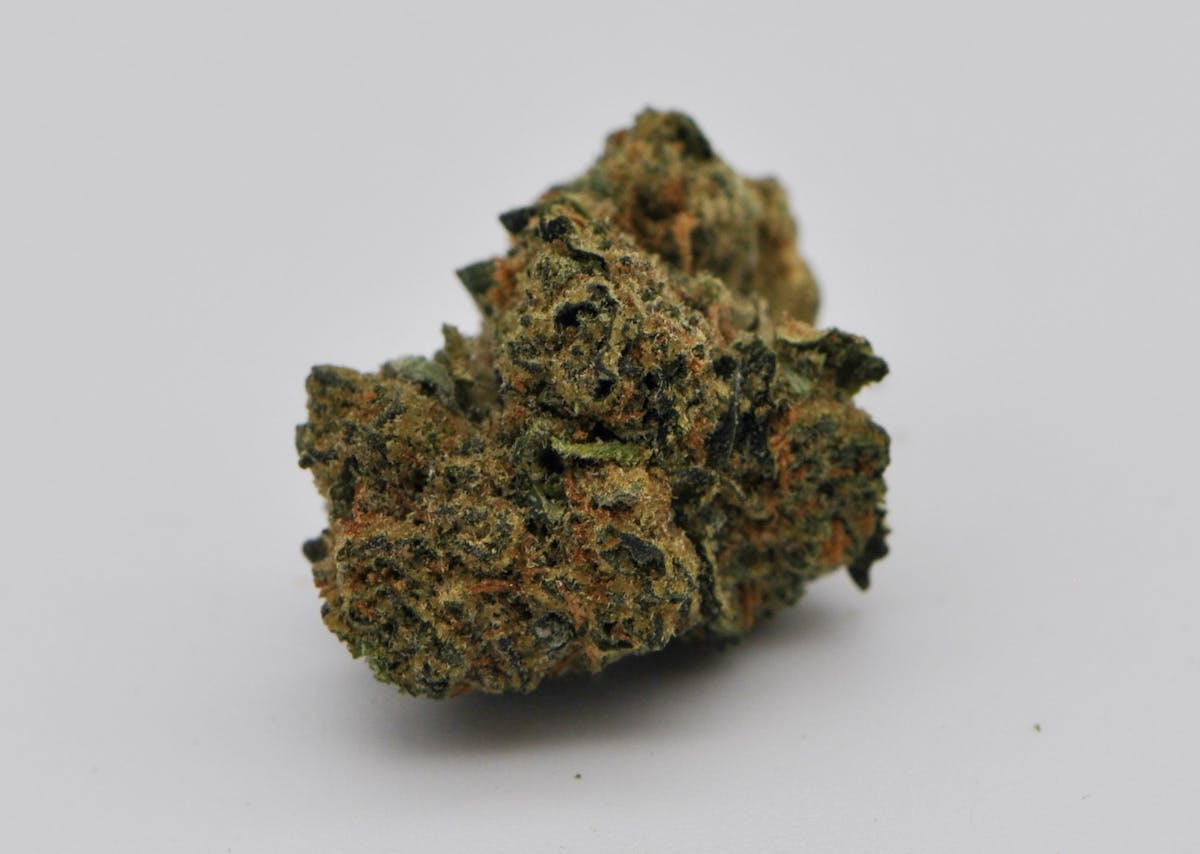 Image of White Tahoe Gelato | 14g Prepackaged Flower