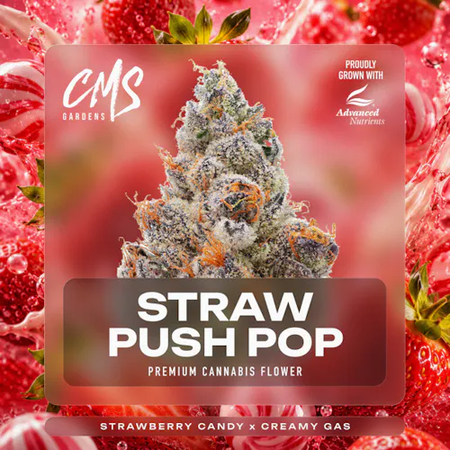 CMS Gardens – Strawberry Push-Pop Bud Bar-active