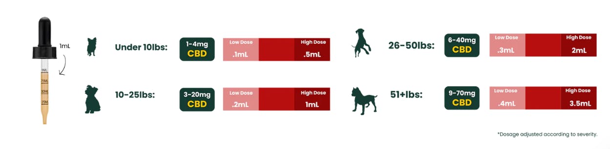 Photo of Salmon CBD Dog Tincture | 1fl oz. (30ml)