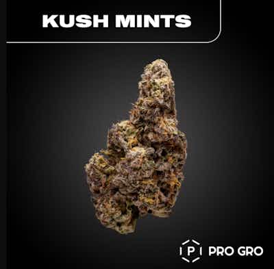 Product: Kush Mints | Pro Gro