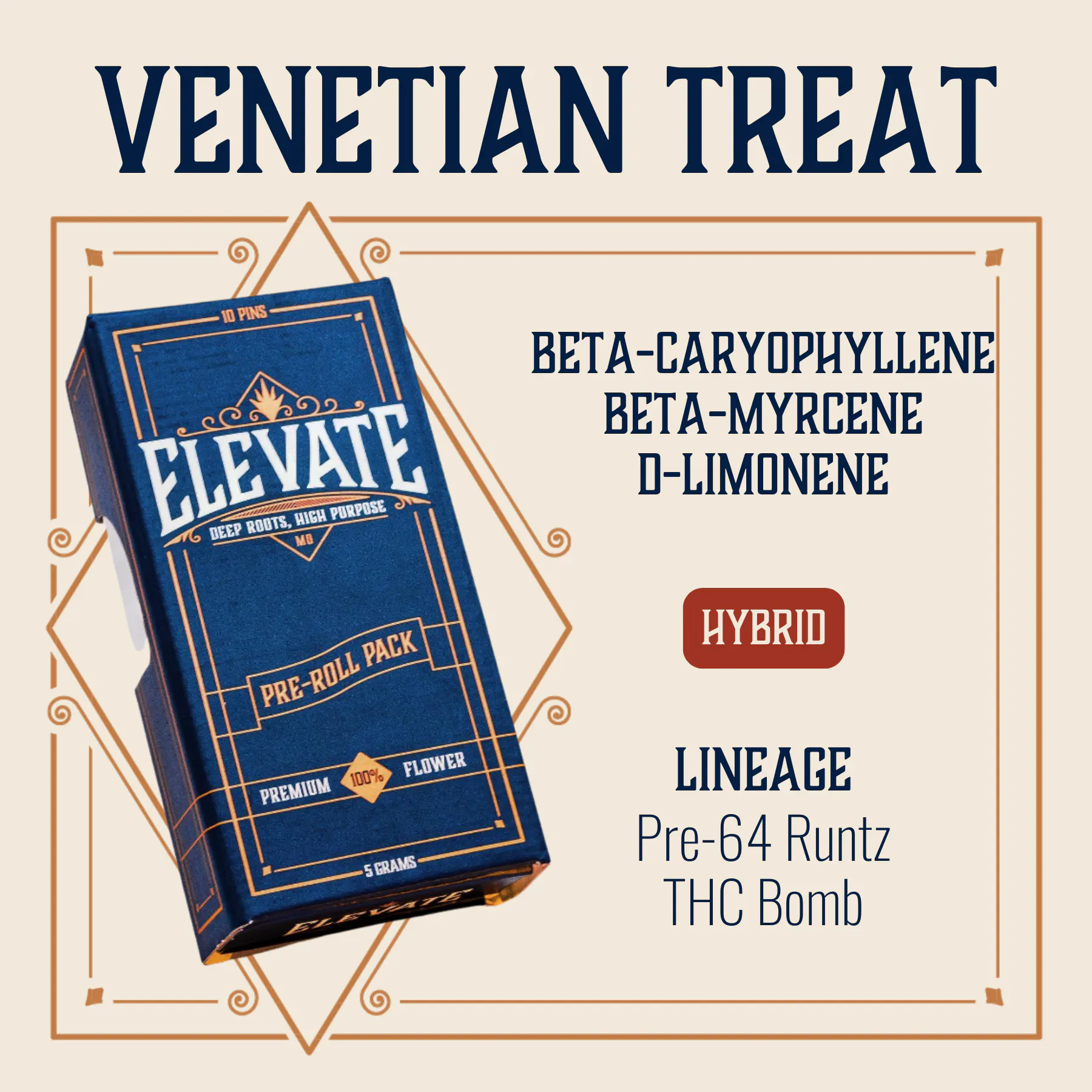 ELEVATE - PINS - PREROLL - 0.5G - 10PK - VENETIAN TREAT - HYBRID