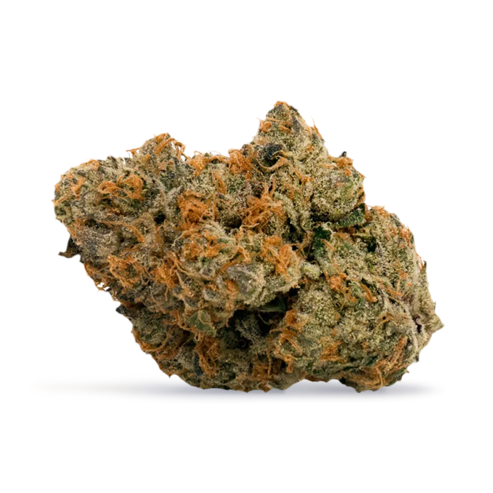 Funky Zktlz at NewLeaf (Main Street)