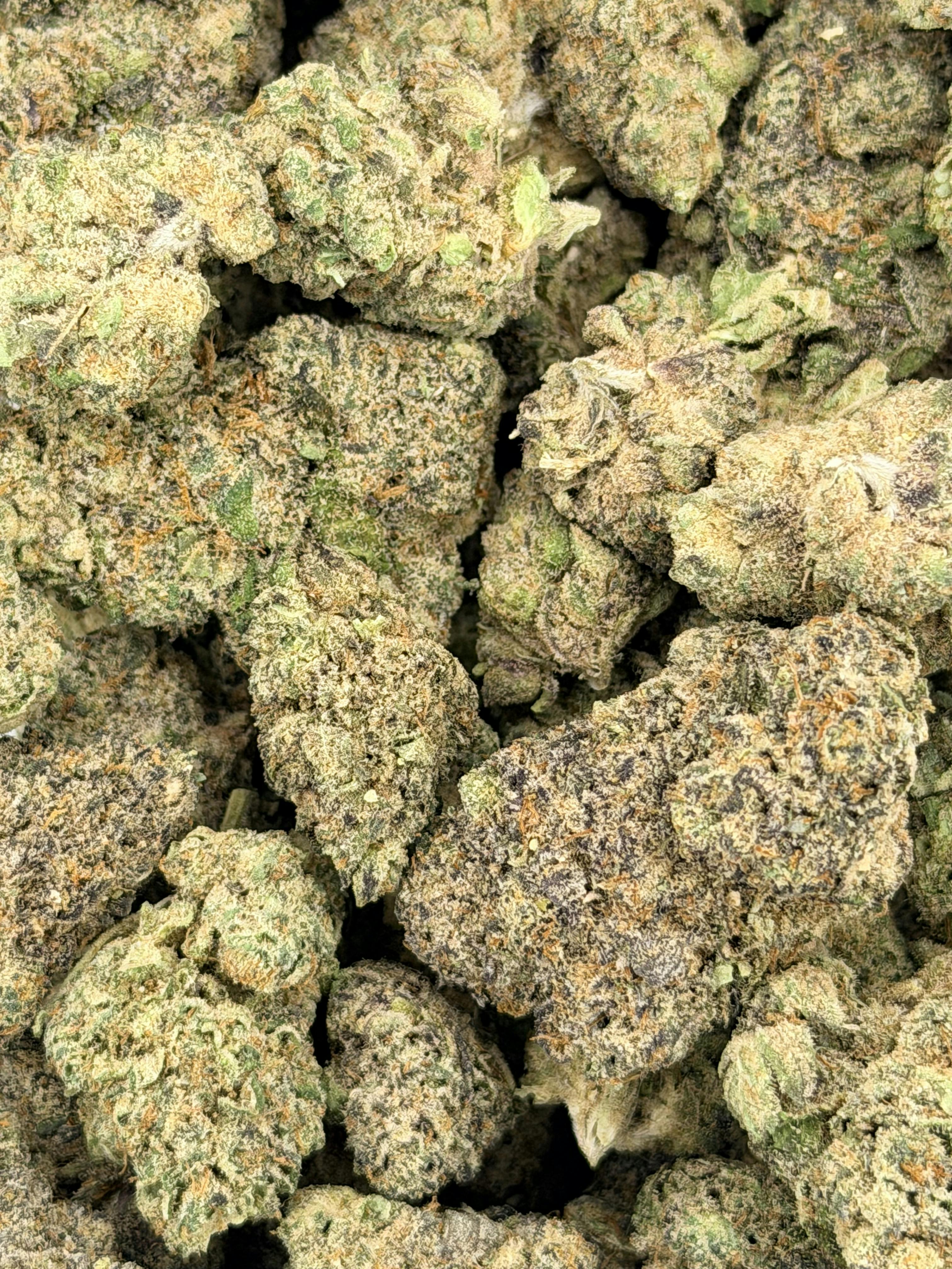 Pro Gro | Candy Bonez | Deli Flower