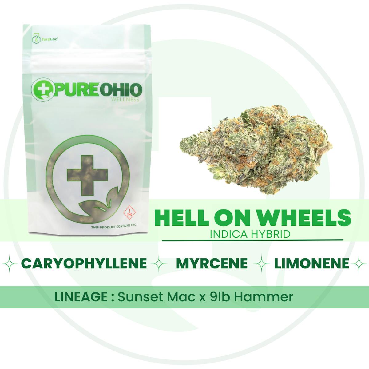 Photo of Hell On Wheels