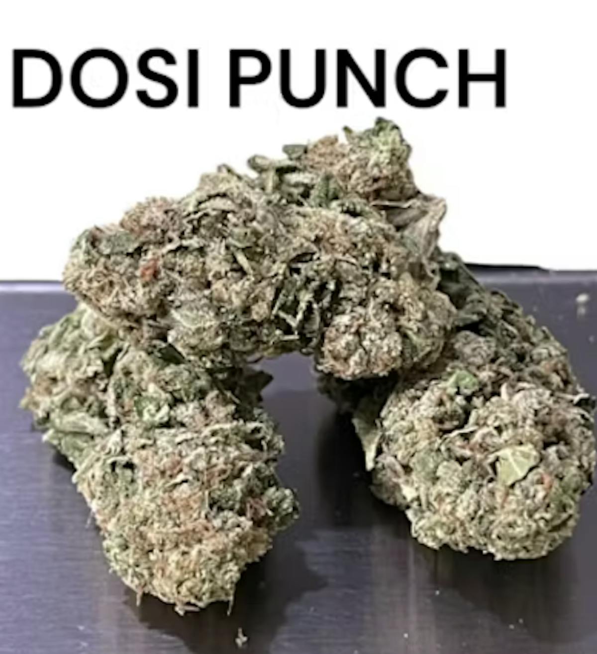 Photo of Gibby’s Dosi Punch