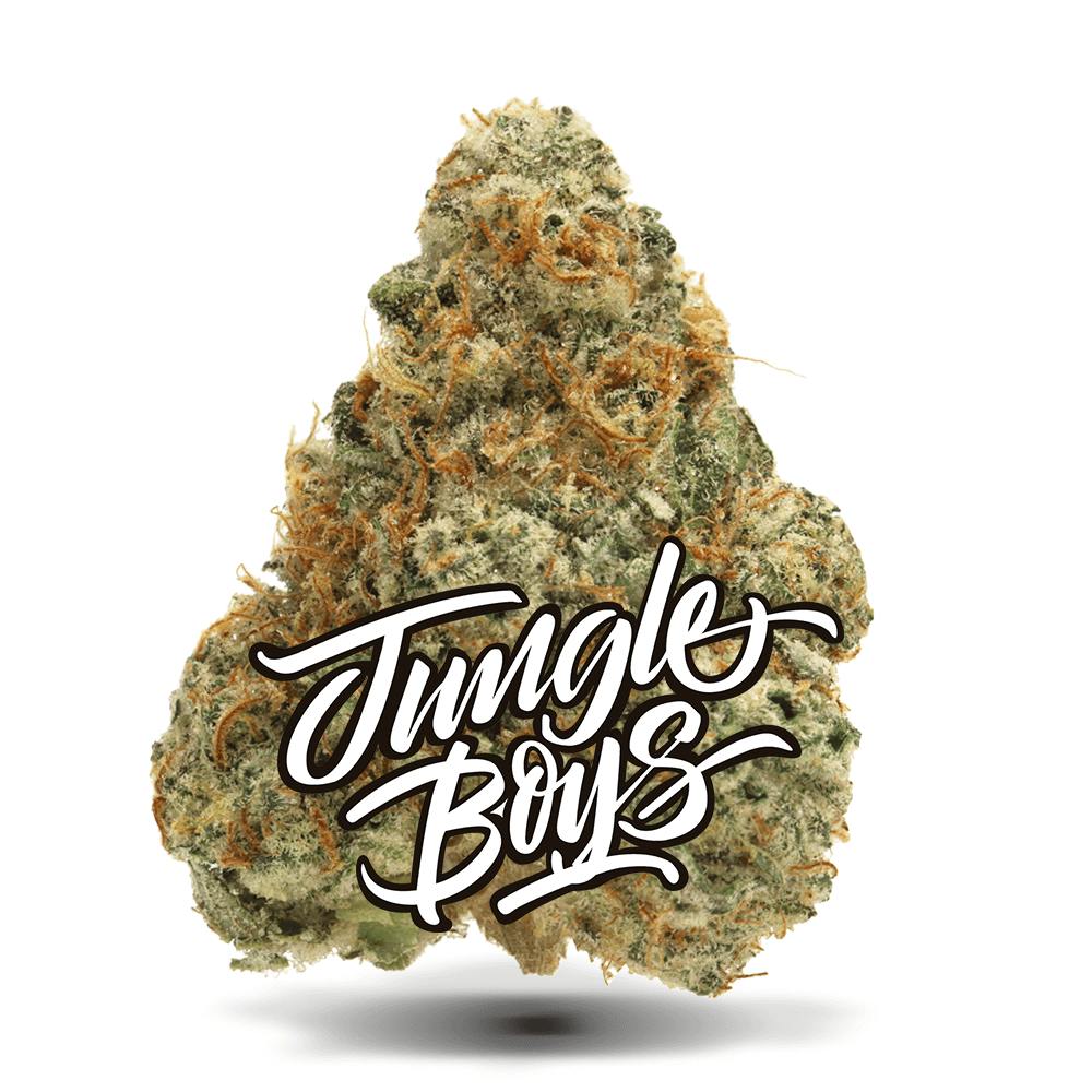 Shop Deep Visions #9 - Premium Flower in Gainesville | Jungle Boys