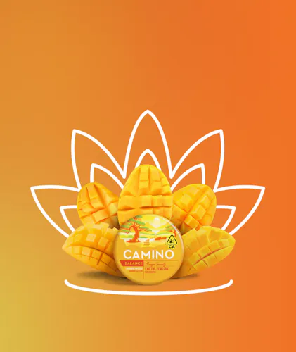 Camino Mango Serenity Gummies 5mg x 20-Pack-1