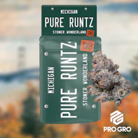 Pure Runtz 3.5g Flower - product image at King of Budz