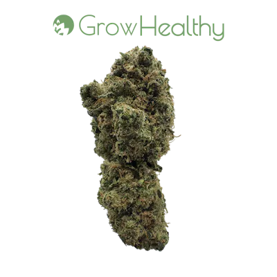 Lakeland Cannabis Dispensary | GrowHealthy Dispensary