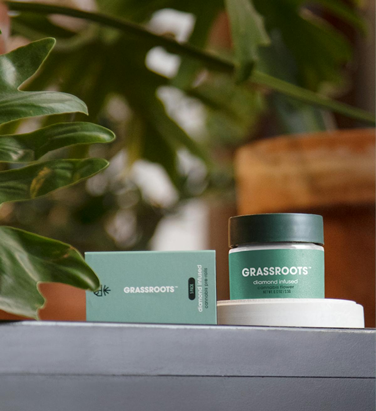 Photo of Grassroots l Garlic Cookies Diamond Infused Whole Flower l 3.5g