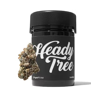 Heady Tree - 3.5g Flower Jar - Project 518