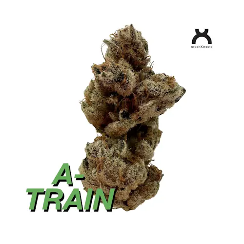 A-Train | Flower | 3.5g-active