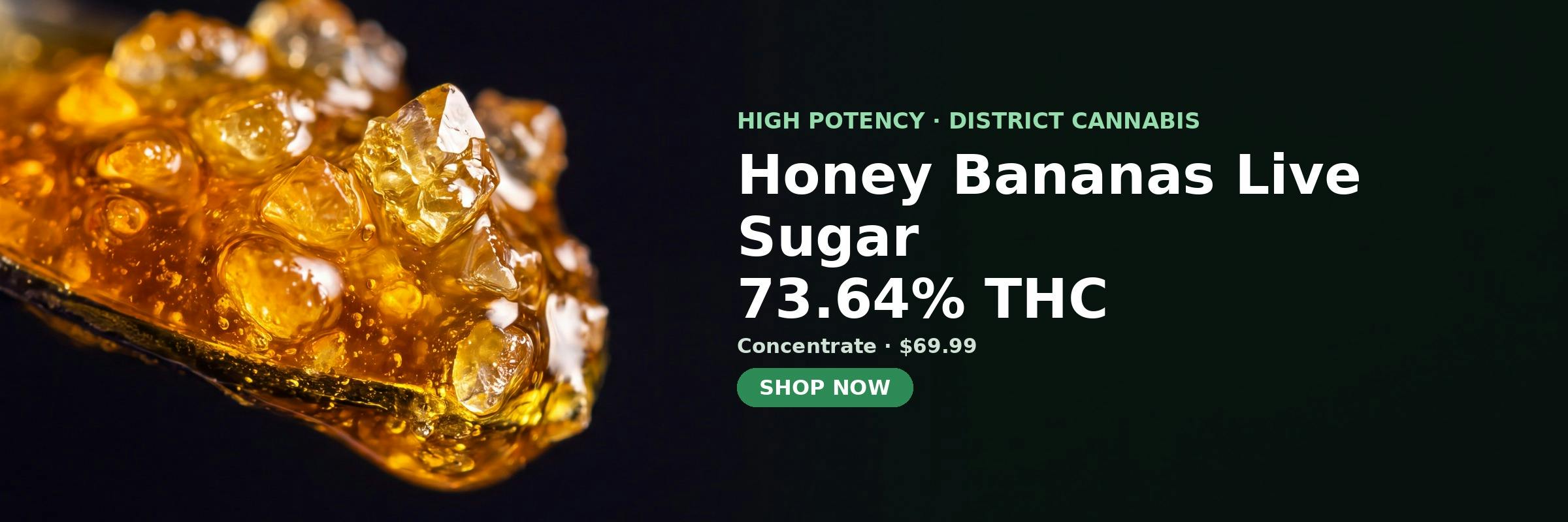 Honey Bananas Live Sugar at MrGreen DC — 73.64% THC