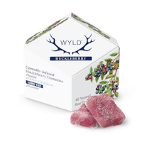 WYLD - 100mg Gummies - Huckleberry - product image at King of Budz