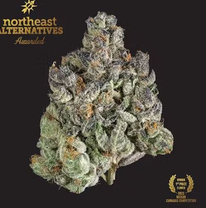 Product Kine Garlic Cookies Buds