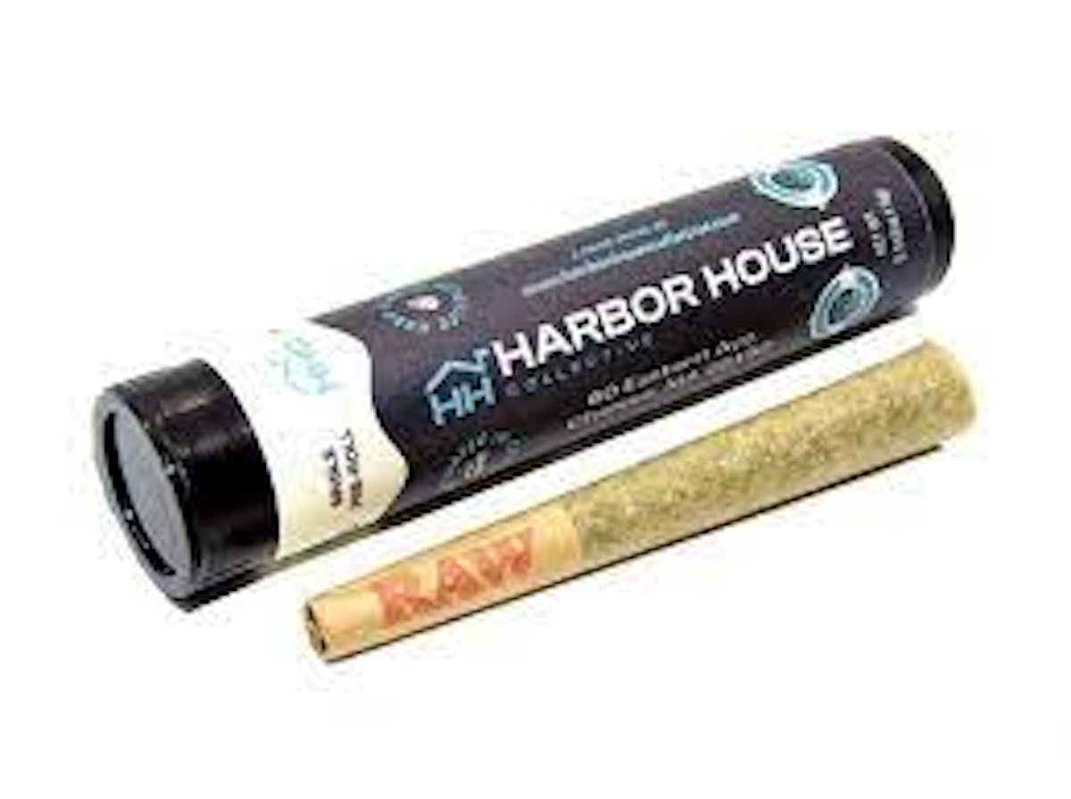 Image of GMO | .5g Preroll